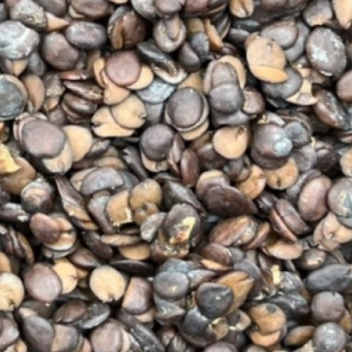 Locust Beans